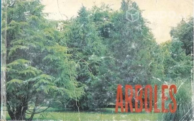 Árboles / El Mercurio / De La Vega Rodríguez