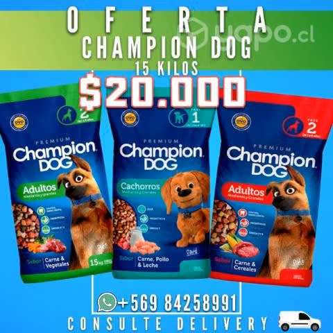 Champion dog
