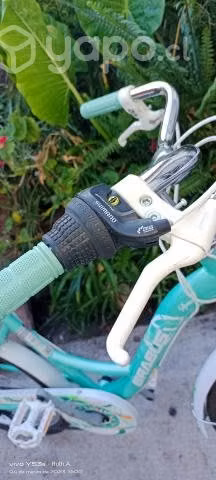 Bicicleta aro 26 brabus spring con cambios Shimano - Imagen 3