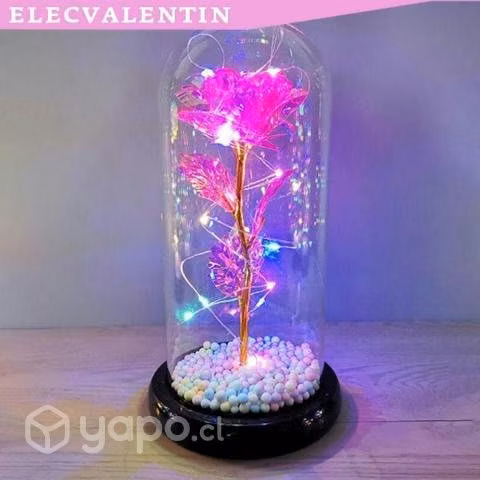 rosa eterna