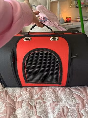 Canil para perro