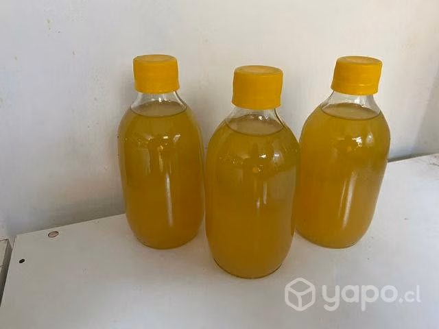 Papaya en Conserva frasco y Nectar