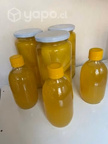 Papaya en Conserva frasco y Nectar
