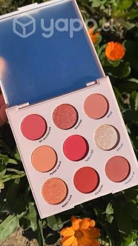 Paleta Strawberry Shake de ColourPop