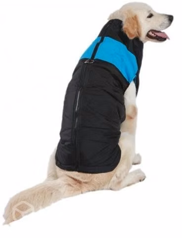Parkas impermeables perro mediano - Imagen 3