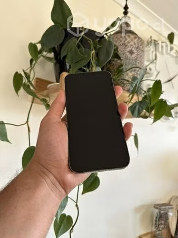 IPhone 13 Pro Max 256GB