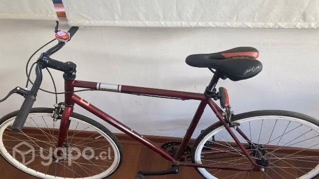 Bici pistera