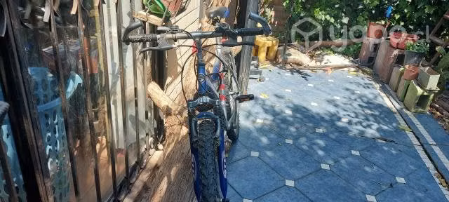 Bicicleta Oxford Geyser