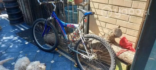 Bicicleta Oxford Geyser