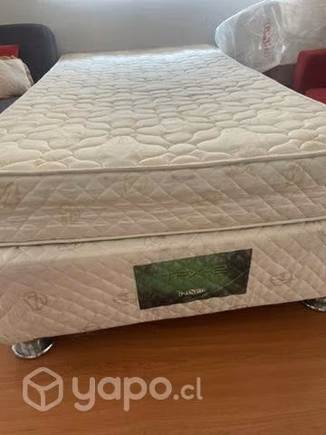 Box americano rosen tfx-2 praga 1.5pl