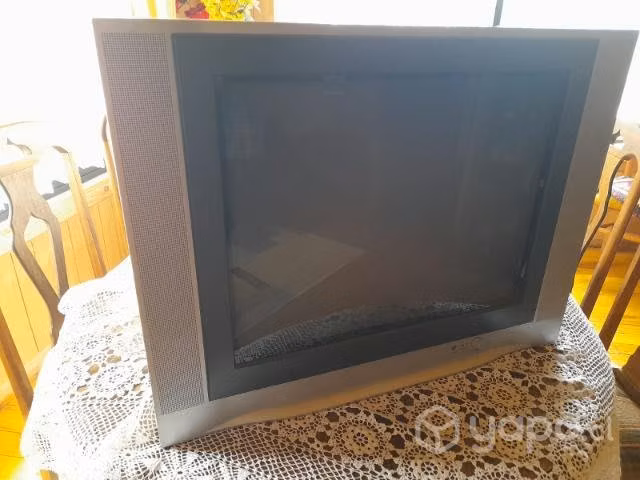 televisor