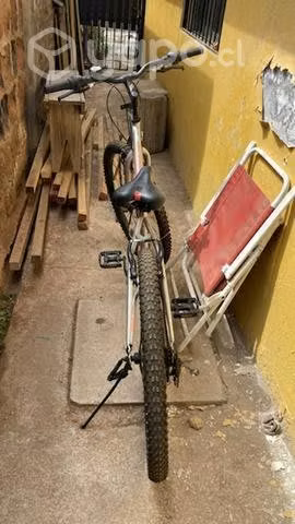 Bicicleta adulto