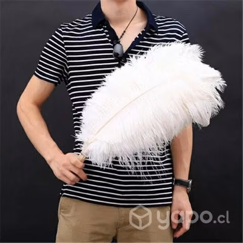 Hermosas plumas de avestruz blancas 45-50cm