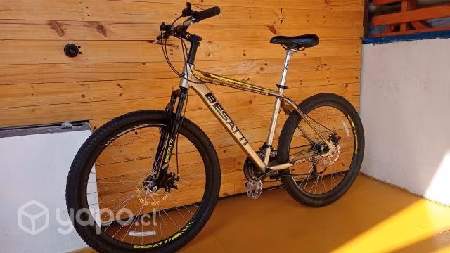 Bicicleta