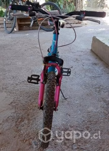 Bicicleta totem