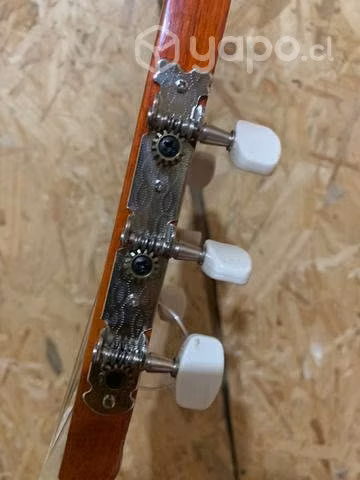 Guitarra acústica