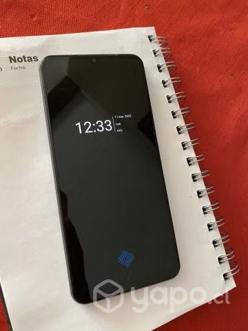 Vivo V2025