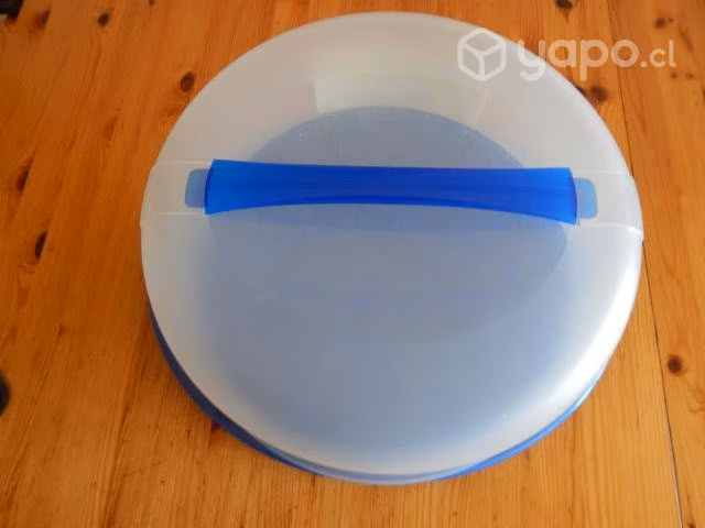 Transportador para torta, nuevo marca ROTHO