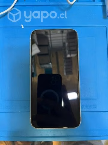 IPhone 11 - Imagen 2