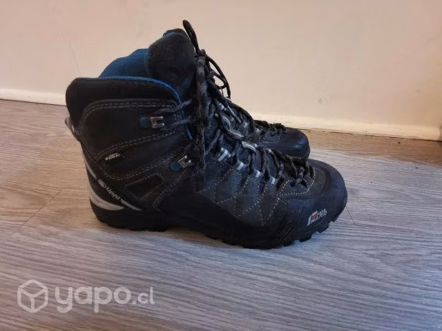 Lippi Bravo mid 41
