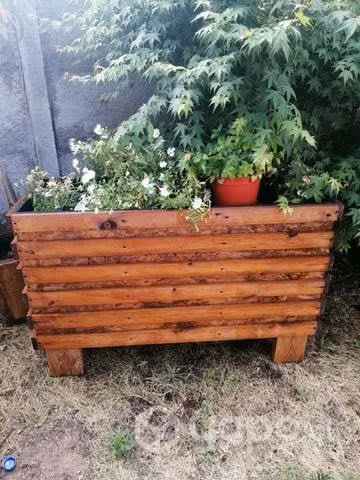 Árboles, jardinera