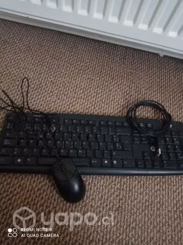 Lote de seis teclados.marca HP, Genius,kessington - Imagen 2