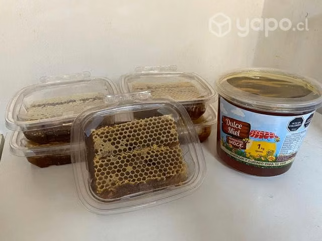 Miel de panal de abejas