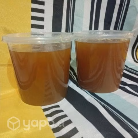 Miel ULMO de la zona