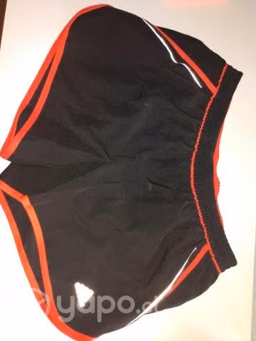 shorts Adidas