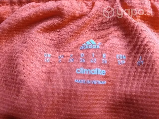 shorts Adidas