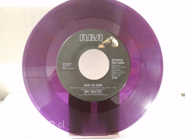 Mv27: single 45 rpm mr. mister