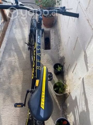 Bicicleta oxford