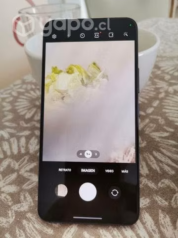 S22 Celular