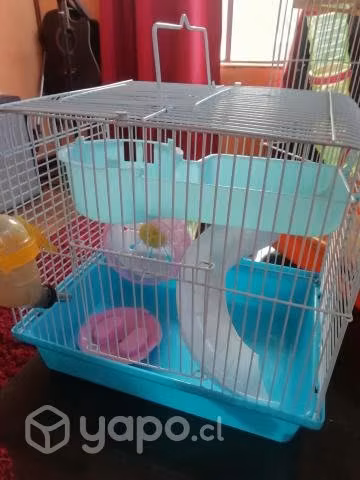 Jaulas hamster