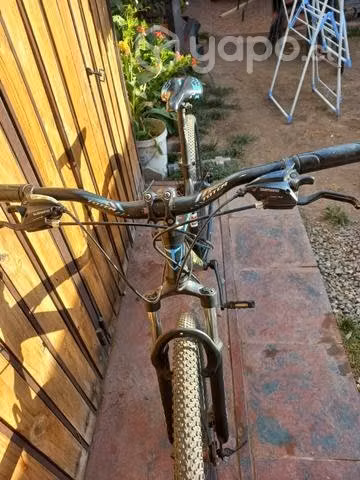 Bicicleta totem