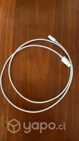 Cargador de iphone original