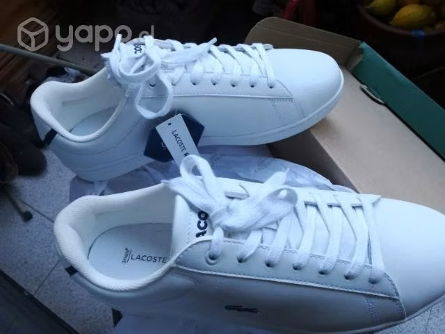 Zapatilla Lacoste número 44,nuevas con caja.