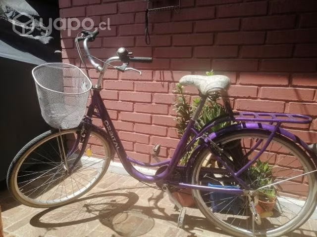 Bicicleta