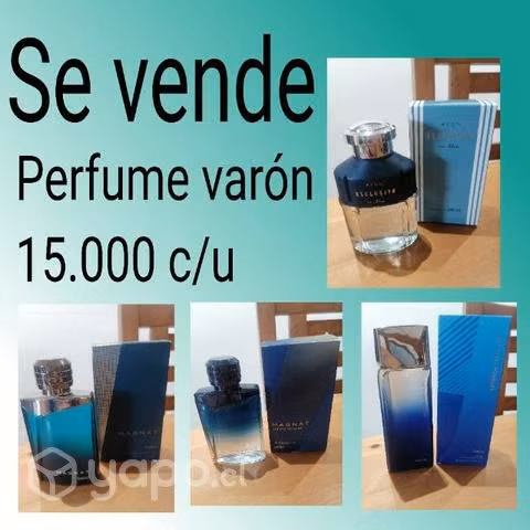 Perfumes dama y varón