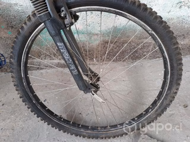 Bicicleta