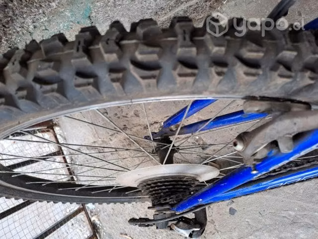 Bicicleta