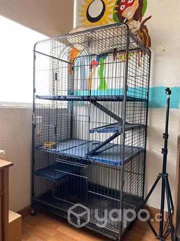 Jaula para huron,chinchilla,ratas y otros roedores