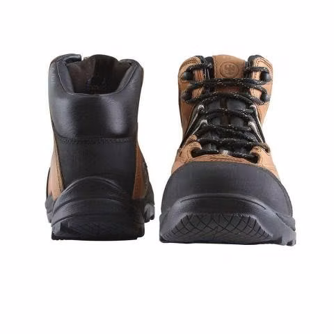 Zapato Edelbrock