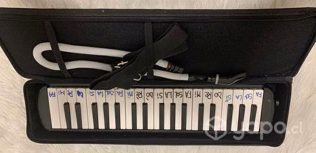 Melódica musical