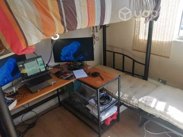 Cama escritorio