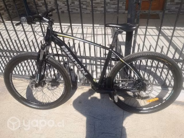 Bianchi - Imagen 2