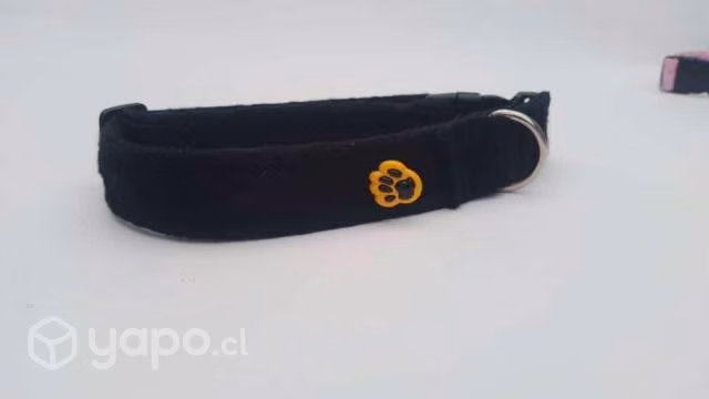Correas, collar, alfombras olfativas