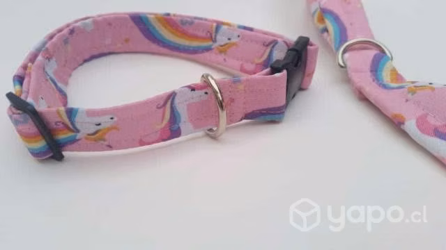 Correas, collar, alfombras olfativas