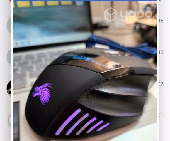 Mouse Gamer