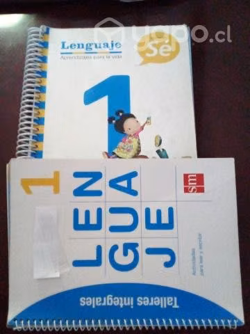 Lenguaje Proyecto Sé
